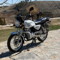 باکسر دینو خشک