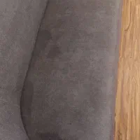 شستشوی مبل و فرش و تختخواب در منزل شما مبل شویی|خدمات نظافت|سمنان, |دیوار