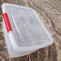 جانونی در تعداد بالا