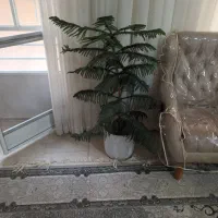 گل طبیعی. یک میلیون و هشتصد. 1800