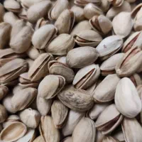 پسته اکبری رفسنجان