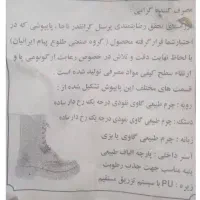 پوتین مشکی نظامی سگک دار|کیف، کفش، کمربند|تربت‌حیدریه, بوستان باغ ملی|دیوار