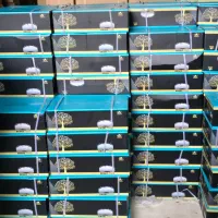 لنت آلتور پلاتینیوم پریمیوم کامیون