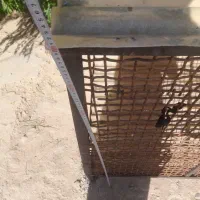 قفس مرغ،جنس محکم ودست ساز|لوازم جانبی حیوانات|گوآور, |دیوار