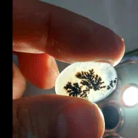 سنگ شجر|کلکسیون اشیاء عتیقه|تهران, جوادیه تهرانپارس|دیوار