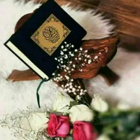معرفی همکار