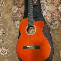 گیتار کلاسیک واشبرن کاتوی پیکاپ دار