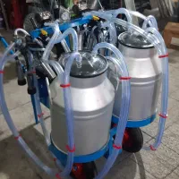 شیردوش گاو و شیرسردکن دام گوسفند