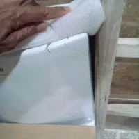 فرنگی کرد نو