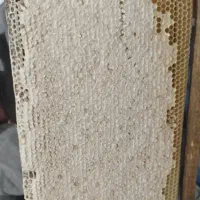 عسل گون انگبین