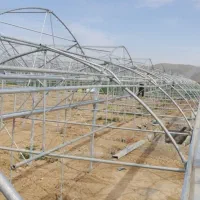 ساخت گلخانه|خدمات باغبانی و درختکاری|سیستان, |دیوار