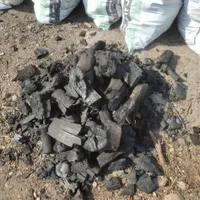 فروش زغال کبابی