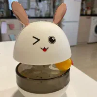 سرگرمی سگ و گربه با این وسایل