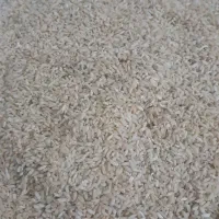 فروش 50 کیلو برنج چمپا