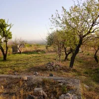 فروش باغ ۱۵۰۰ متری و ۱۰۰۰۰متری|فروش دفتر صنعتی، کشاورزی، تجاری|زنجان, |دیوار