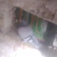 ۲جفت به ضمانت