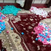 پودر جوانه گندم خوردنی|خوردنی و آشامیدنی|بیرجند, |دیوار