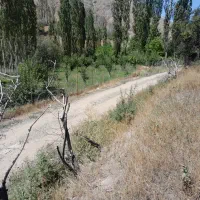 زمین کشاورزی متراژ ۲۰۰۰و پایین تر|فروش زمین و ملک کلنگی|بلده, |دیوار