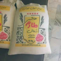 برنج‌طارم‌شمال