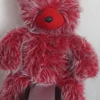 خرس یک متری
