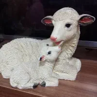 یکسری دکور وگل