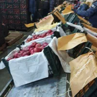 نیازمند چند نفر خانوم کار در سورتینگ سیب