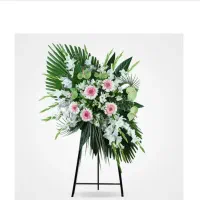 عمده و تک به قیمت گلخانه