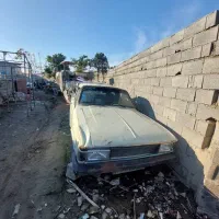 پیکان وانت|خودرو سواری و وانت|سرخرود, |دیوار