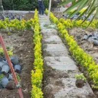 خدمات باغبانی باغچه کاری چمن کاری|خدمات باغبانی و درختکاری|پردیس, فاز ۸|دیوار