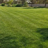 استخدام نیروی فضای سبز با سابق