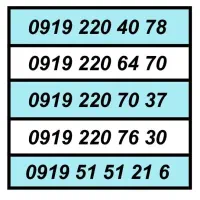 0919.220.70.37