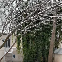 اجاره روزانه خانه سنتی