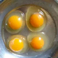 جذب نماینده پخش و فروش تخم مرغ بسته بندی  «تنگاب»|استخدام بازاریابی و فروش|شیراز, هفت تنان|دیوار