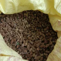 توت خشک گوسفند ی امسالی|عمدهفروشی|حمیدیا, |دیوار