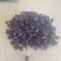 فروش کشمش بصورت کلی وجزی|عمده‌فروشی|سیرجان, |دیوار