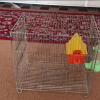 قفس پرنده|لوازم جانبی حیوانات|شاهین‌شهر, شهرک گلدیس|دیوار