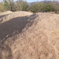 فروش علوفه گیاه