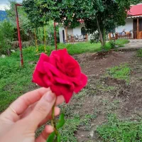 اجاره کلبه‌ سنتی رویایی نغمه