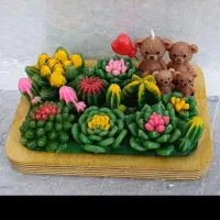 باغچه کاکتوس