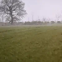 زمین-کشاورزی-دارای-سندشش-دانگ