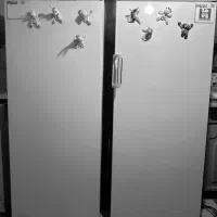 یخچال دوقلوی پارس