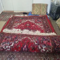فرش دست بافت نو|فرش|تهران, تختی|دیوار