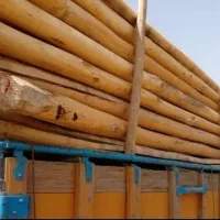 خریدار چوب و درخت