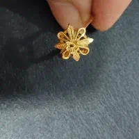 طلا|جواهرات|دورود, |دیوار