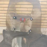 طلق موتر|قطعات یدکی و لوازم جانبی|کاشان, قطب راوندی|دیوار