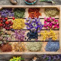 فروشنده جهت کار در عطاری/روغنگیری نیازمندیم