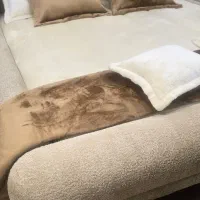 تخت نو شرکتی|مبلمان خانگی و میز عسلی|خرمآباد, |دیوار