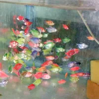 پرورش ماهی رشتقون