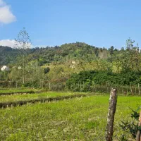 زمین درتالش کوهپایه ای جنگل پول لازم اسالم طولارود|فروش زمین و ملک کلنگی|تالش, طولارود|دیوار