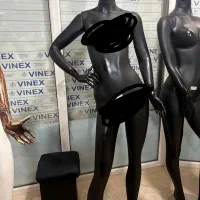 مانکن|فروشگاه و مغازه|فردوسیه, |دیوار